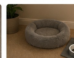 Neatly arranged pet bed and food bowls at floor level